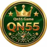 Qn55 Game Logo Image