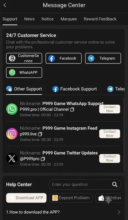 P999 Game interface image
