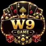 W9 game logo