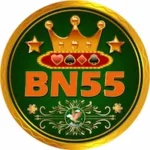 BN55 Game logo image